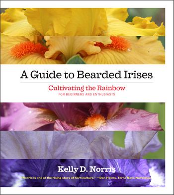 A Guide to Bearded Irises